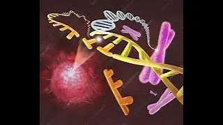 oncogenes and tumor suppressor genes | paraneoplastic synd.