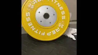 REP Fitness Competition Plates (lbs) Review