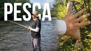 Fuimos a pescar cerca de Cali y... ESTO PASÓ