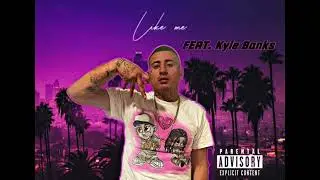 Like Me ( Feat. Kyle Banks)