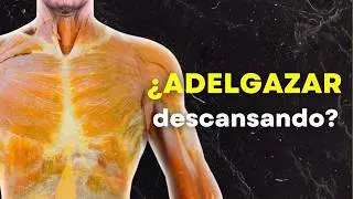&iquest;Tu entrenamiento realmente quema grasa?
