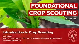 Introduction to Crop Scouting