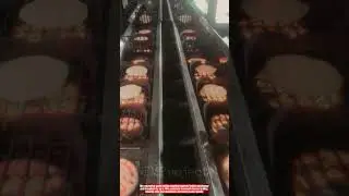 Innovative Senbei Grilling Machine : Best Uniform Rice Cracker Heat Baking