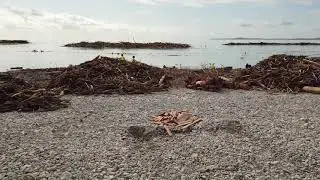 Bord de mer entre Cagnes sur mer et St Laurent du var. 4k 2160P. Uhd .