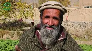 Smallholder Agriculture Market Support (SAMS) project , Kabul Afghanistan