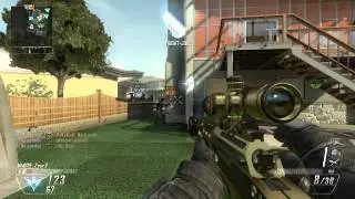 le-gobelyn - Black Ops II