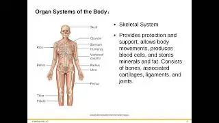 Bio 221 Module 1: 1.3 Structure and Organization of the Human Body