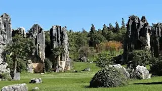雲南之旅《四》昆明｜石林風景區｜金馬碧雞坊｜雲南映象歌舞秀