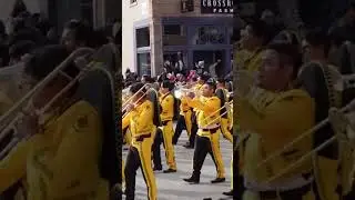 I found this mexican band interesting at the Rose 🌹 parade #irl