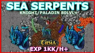 [PALADYN/KNIGHT 80LVL+] SEA SERPENTS (SVARGROND) - TASK WPADA JAK MARZENIE I 1KK/H EXP+ - TIBIA