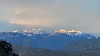 TazMan-Kenny Fuller is live!