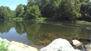 Fly Fishing Neshaminy Creek Playwicki Park
