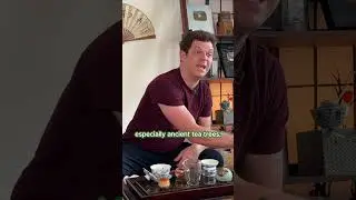 How many times can you steep your red tea?