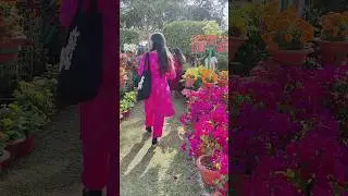 #Flower exhibition in Odisha #flower show short tour #plant shopping #shorts
