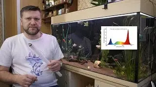 Свет в аквариуме Часть 1