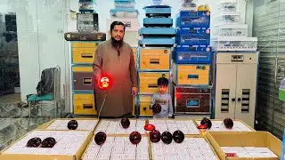Naye Sal ki Naye Offer Heat Bulb Per Special Offer Incubator Only 4000 Sherwani Express Multan 