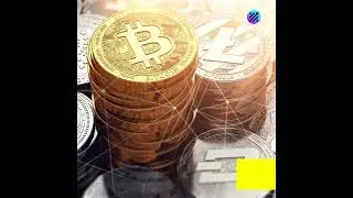 What Is 0x Coin