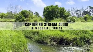 Behind the Sounds: Capturing Stream audio in Woodhill