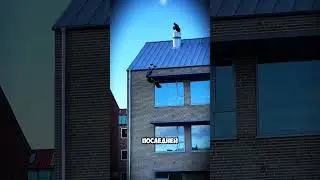 Этот парень спускается с небоскрёба без страховки 😱 #shorts