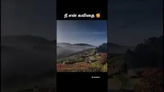 Kadhal Kodai #kodaikanal #song #trending #shots #live #music #tranding #nature #shorts #love #travel