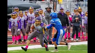 2023 Bradley Lions vs Peotone Blue Demons