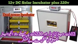 Solar Incubator 12v/220v Dual Power Fully Auto Incubator -