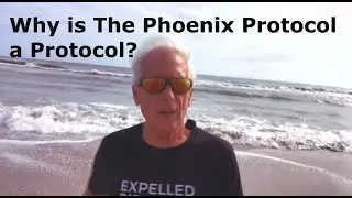 Why is the Phoenix Protocol a Protocol? #livetipsandtricks #life #NEW