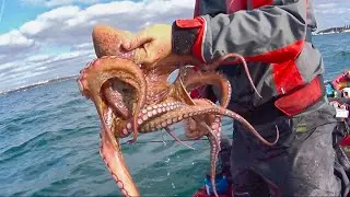 Octopus, Cuttlefish and Ikijime - Eging (Squid Jigging) #2 - Kayak Fishing- 1080HD 50fps