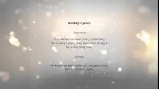donkey's years