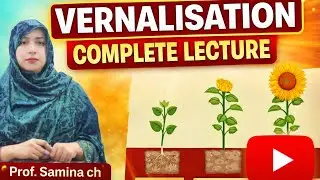 Vernalisation in Plants | Definition, Process, Mechanism & Examples | Plant Physiology | Samina ch