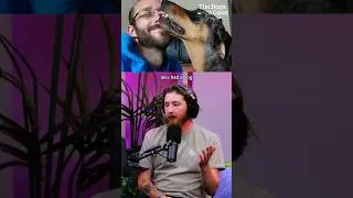 Alex Pretti's Dog, Joule