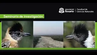 Una perspectiva gen&oacute;mica sobre la diversificaci&oacute;n de las aves suboscinas neotropicales