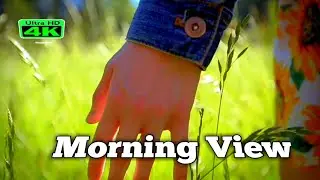 Beautifull view status || beautifull view video hindi song