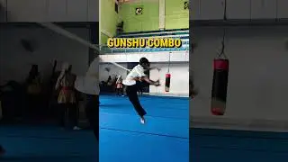 Gunshu combo part 39 💥#foryou #viral #tranding #wushu #kungfu
