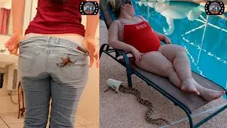 SCARECAM Pranks Reaction 2026 #388  |Funny Scare Pranks/Jumpscare/Funny Videos