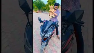 Bike ride with lion cub🦁😱#viral #youtube #animals #youtubeshorts #lion#1millionviews