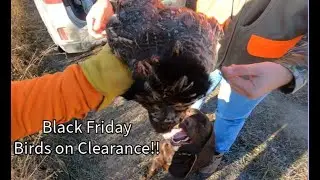 Black Friday Grouse Hunt