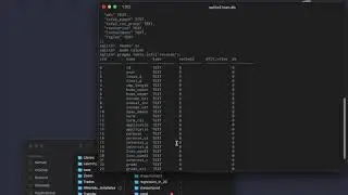 Intro to SQLite: CSV to SQLite (Python for Bankers series)