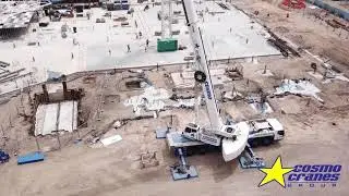 CosmoCranes CC PANELS