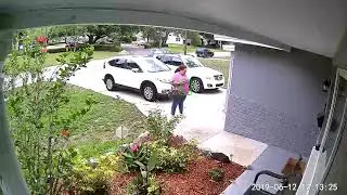 Friend coming over and discovering a snake on our driveway. Look at her jump! And then take a pic...