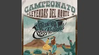 torreon de moda
