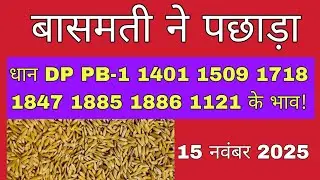 धान का भाव आज 🔴15 नवंबर 2025 | 1509,1121, बासमती | Dhaan Rate Today | Agri Commodity Price