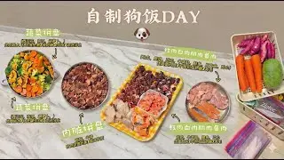 Cooking for my best friend 🐶 | Aesthetic Dog Meal Prep Vlog