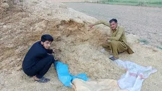 farming with Rural Laughs