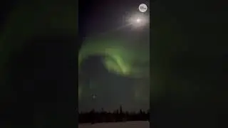 Dog sled ride under the northern lights in Alaska&rsquo;s winter wonderland