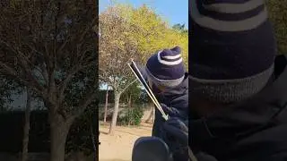 Slingshot Bird hunting short #ytshorts #shorts #slingshot