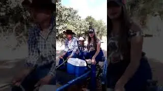 Romaria de cavalos