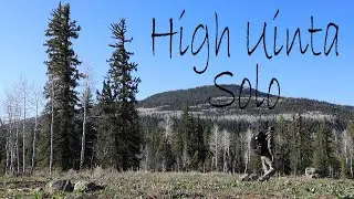High Uinta Solo
