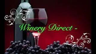 Wine review #2: Winery Direct - Red Decadence Chocolate!
