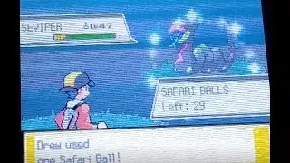 [ISHC #1] Shiny Seviper after 9710 REs in the Safari Zone, Win or Fail?